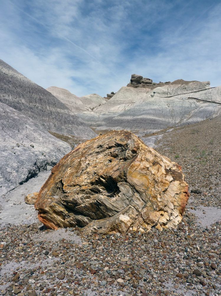 Blue mesa FP (21).JPG